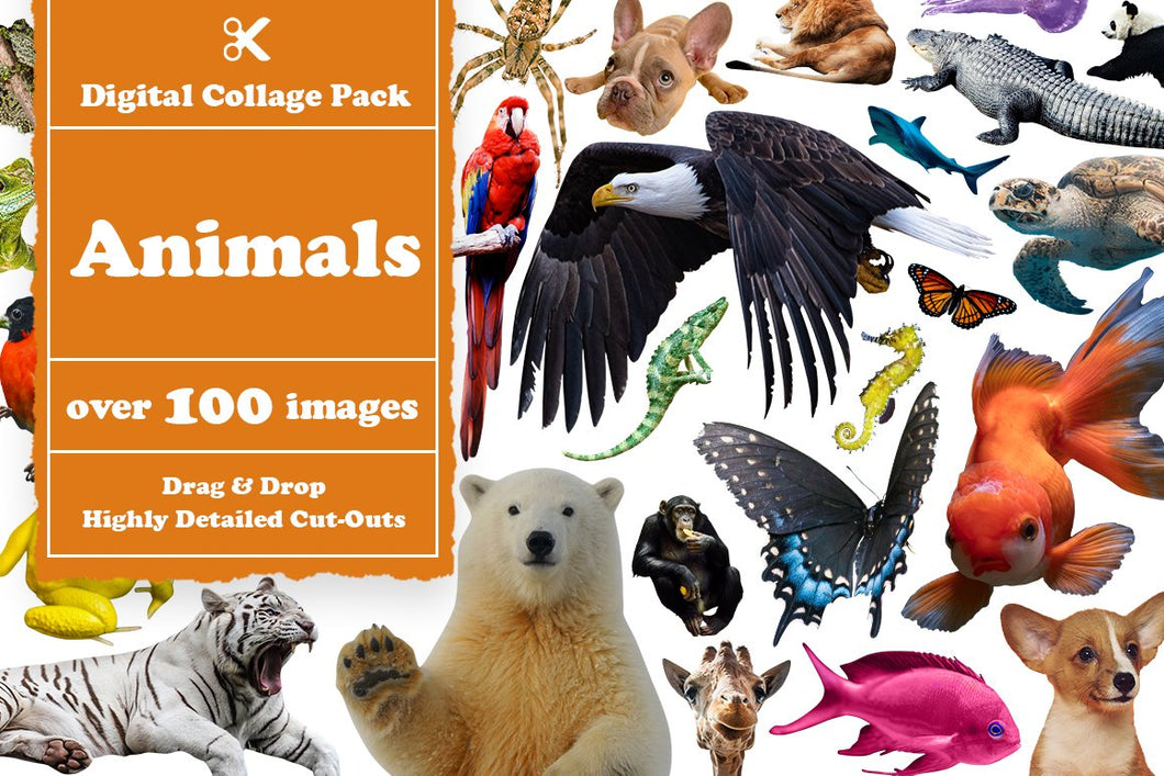 Animals Digital Collage Pack