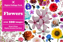 Load image into Gallery viewer, Flowers Digital Collage Pack

