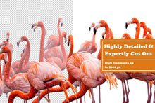 Load image into Gallery viewer, Animals Digital Collage Pack

